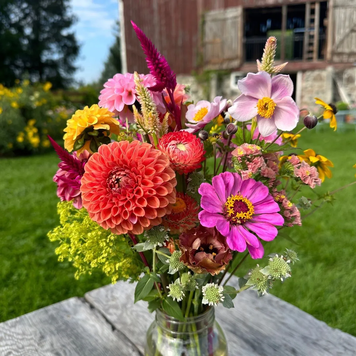 FRESH CUT FLOWER+CHOCOLATE